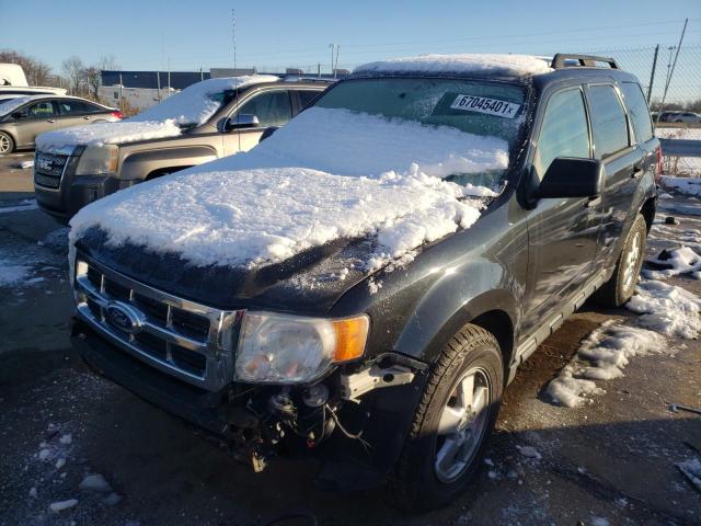 2011 FORD ESCAPE XLT 1FMCU0D77BKB45399
