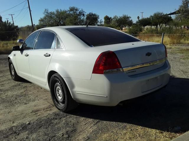 2011 CHEVROLET CAPRICE PO 6G1MK5T23BL561232