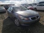 2010 HONDA  ACCORD