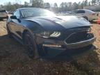 2019 FORD  MUSTANG