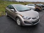 2014 HYUNDAI  ELANTRA