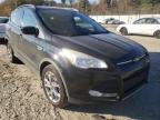 2014 FORD  ESCAPE