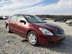 2010 NISSAN  ALTIMA