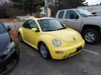 2001 VOLKSWAGEN  BEETLE