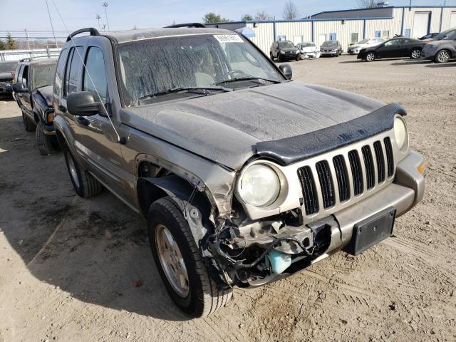 Jeep Liberty salvage cars for sale: 2004 Jeep Liberty