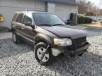 2007 FORD  ESCAPE