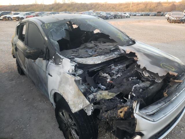 1FMCU0GD3KUB12969 FORD ESCAPE 2019
