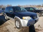 2007 FORD  ESCAPE