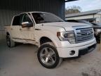 2013 FORD  F-150