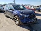 2019 HONDA  CRV