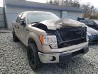 2009 FORD  F-150