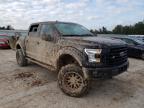 2017 FORD  F-150