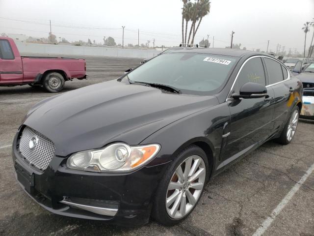 2011 JAGUAR XF PREMIUM SAJWA0GB0BLS10647