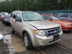 2010 FORD  ESCAPE