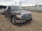 2013 FORD  F-150