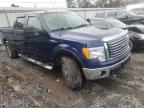 2010 FORD  F-150