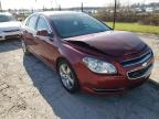 2010 CHEVROLET  MALIBU