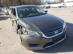 2013 HONDA  ACCORD