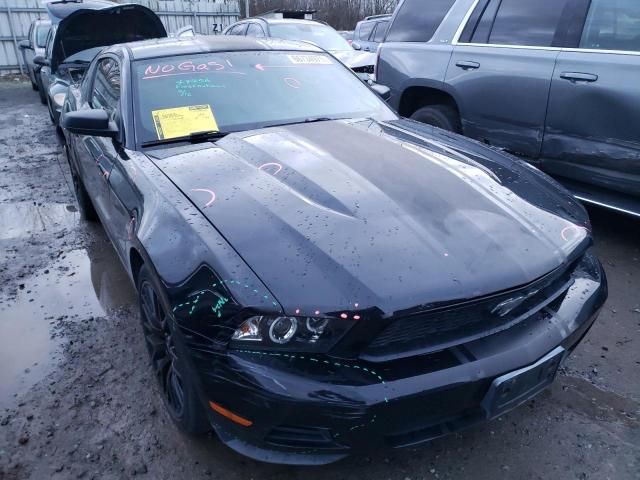 2010 FORD MUSTANG - 1ZVBP8AN9A5153748
