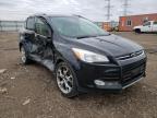 2014 FORD  ESCAPE