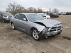 2013 DODGE  CHARGER