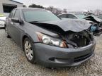 2008 HONDA  ACCORD