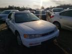 1996 HONDA  ACCORD