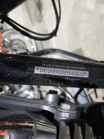 2009 HARLEY-DAVIDSON FLHX 1HD1KB4309Y645615
