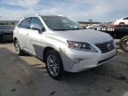 2013 LEXUS  RX350