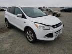 2013 FORD  ESCAPE