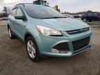 2013 FORD  ESCAPE