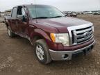 2010 FORD  F-150