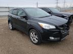 2013 FORD  ESCAPE