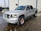 2010 DODGE  DAKOTA