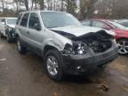 2007 FORD  ESCAPE