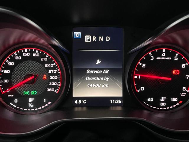 2019 MERCEDES-BENZ AMG GT C WDDYK8AAXKA023162