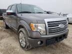 2010 FORD  F-150