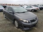 2009 TOYOTA  COROLLA