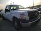 2013 FORD  F150