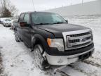 2014 FORD  F-150