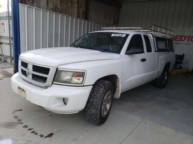 2011 DODGE DAKOTA SLT 1D7RE3BK1BS636125