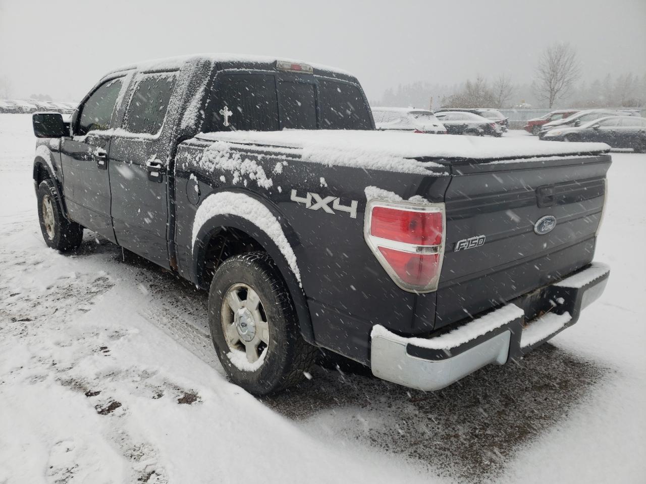 1FTEW1E88AFC73162 2010 Ford F150 Supercrew