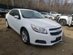 2013 CHEVROLET  MALIBU