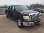 2010 FORD  F-150