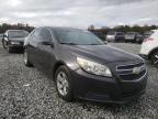 2013 CHEVROLET  MALIBU