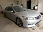 2013 HONDA  ACCORD