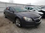 2010 CHEVROLET  MALIBU