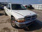 2001 DODGE  DAKOTA