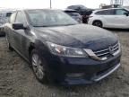 2013 HONDA  ACCORD