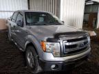 2013 FORD  F-150